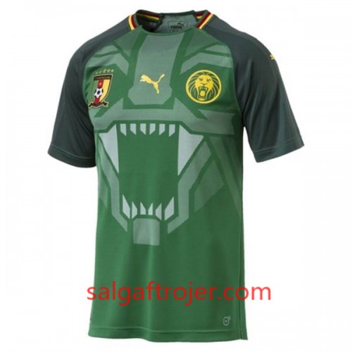 Cameroun Fodboldtrøjer Hjemmebanesæt 2018 Cameroun Fodboldtrøjer Hjemmebanesæt 2018